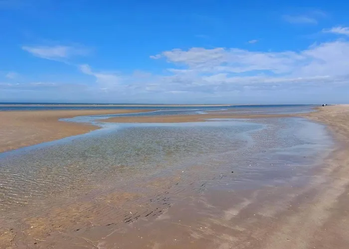 Cozy Retreat In Blavand-by Traum Tatil Evi *